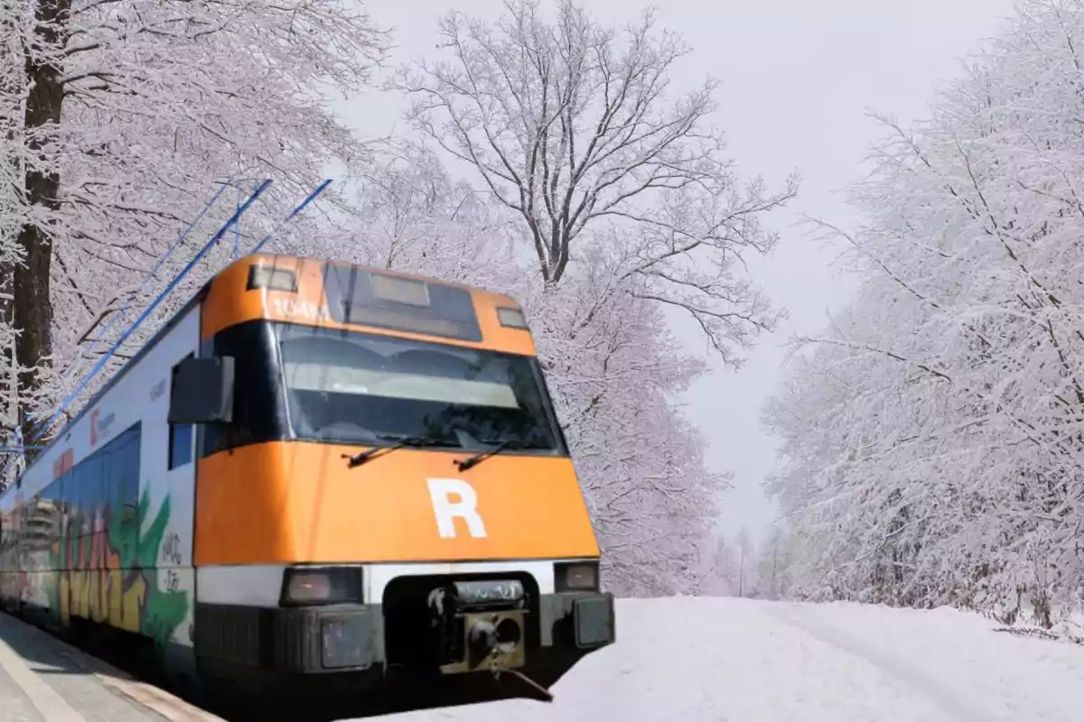 Tren de Rodalies i paisatge nevat