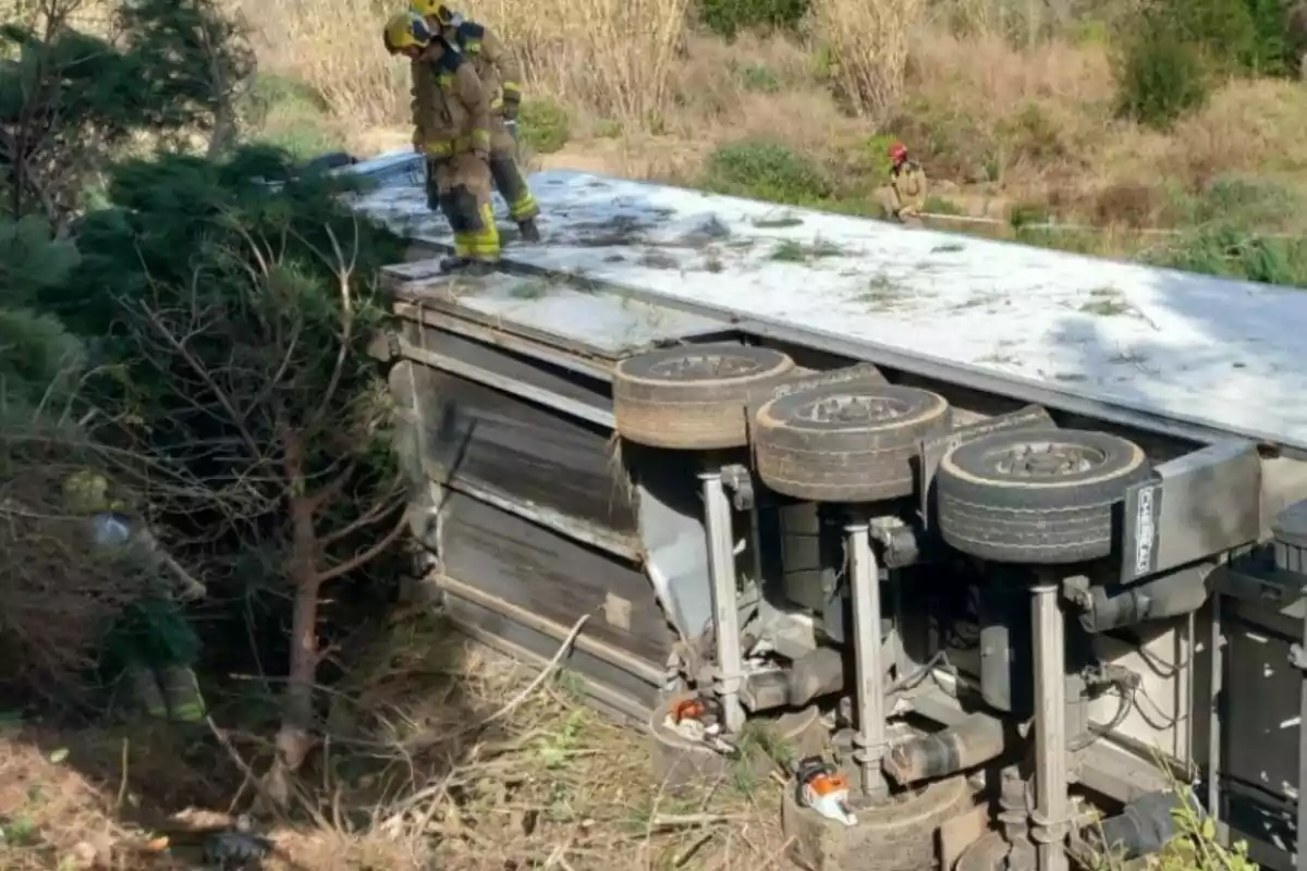 Bombers inspeccionen un camió bolcat en una zona amb vegetació.