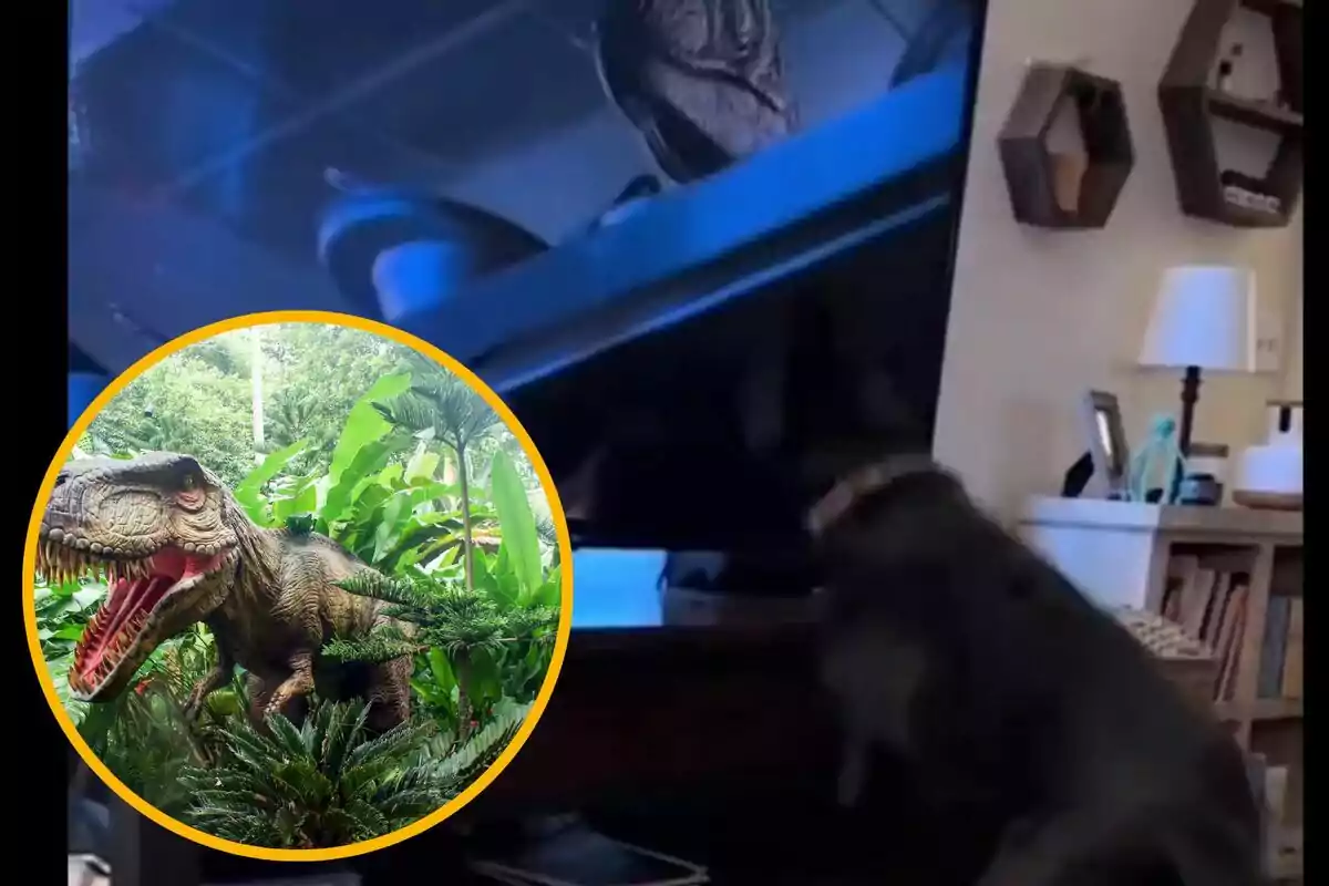 Un gos mira una televisió que mostra una escena amb un dinosaure, ia la cantonada inferior esquerra hi ha una imatge circular d'un dinosaure en un entorn selvàtic.