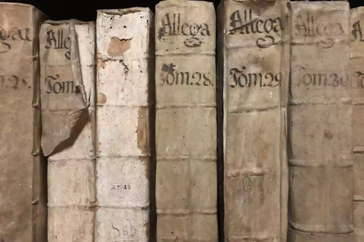 Libros antiguos con cubiertas de pergamino en una estantería, con títulos y números de tomos escritos a mano. Libros antiguos con cubiertas de pergamino en una estantería, con títulos y números de tomos escritos a mano.
