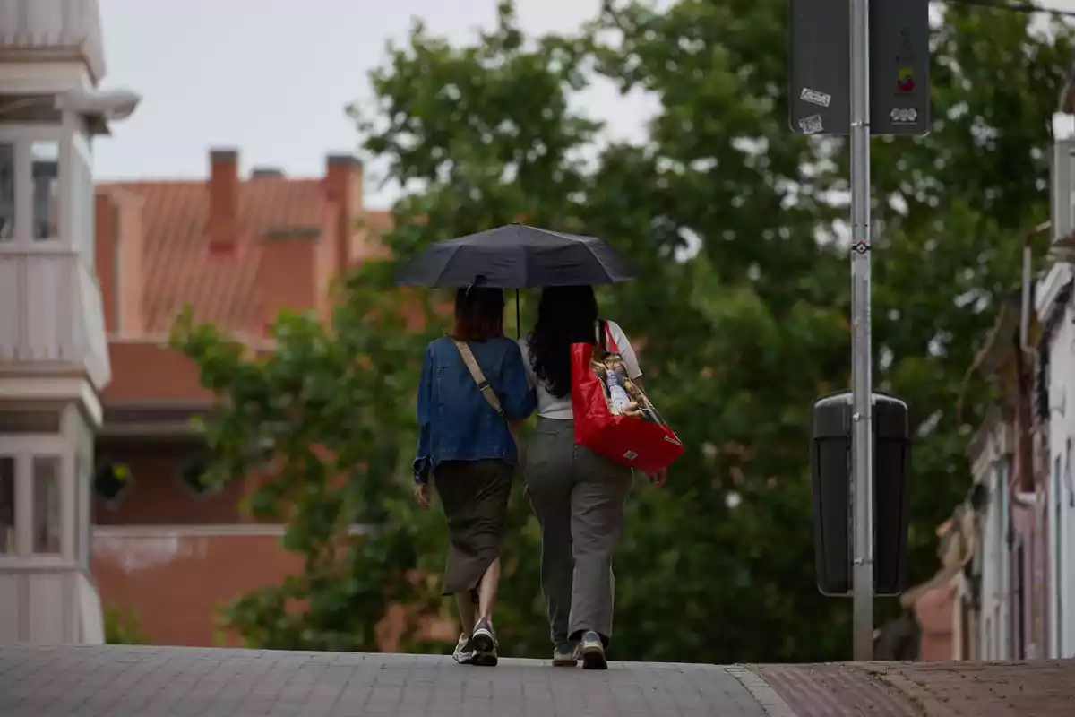 Dues dones es protegeixen de la pluja amb un paraigua, el 8 de juny de 2024, a Madrid Dues dones es protegeixen de la pluja amb un paraigua, el 8 de juny de 2024, a Madrid