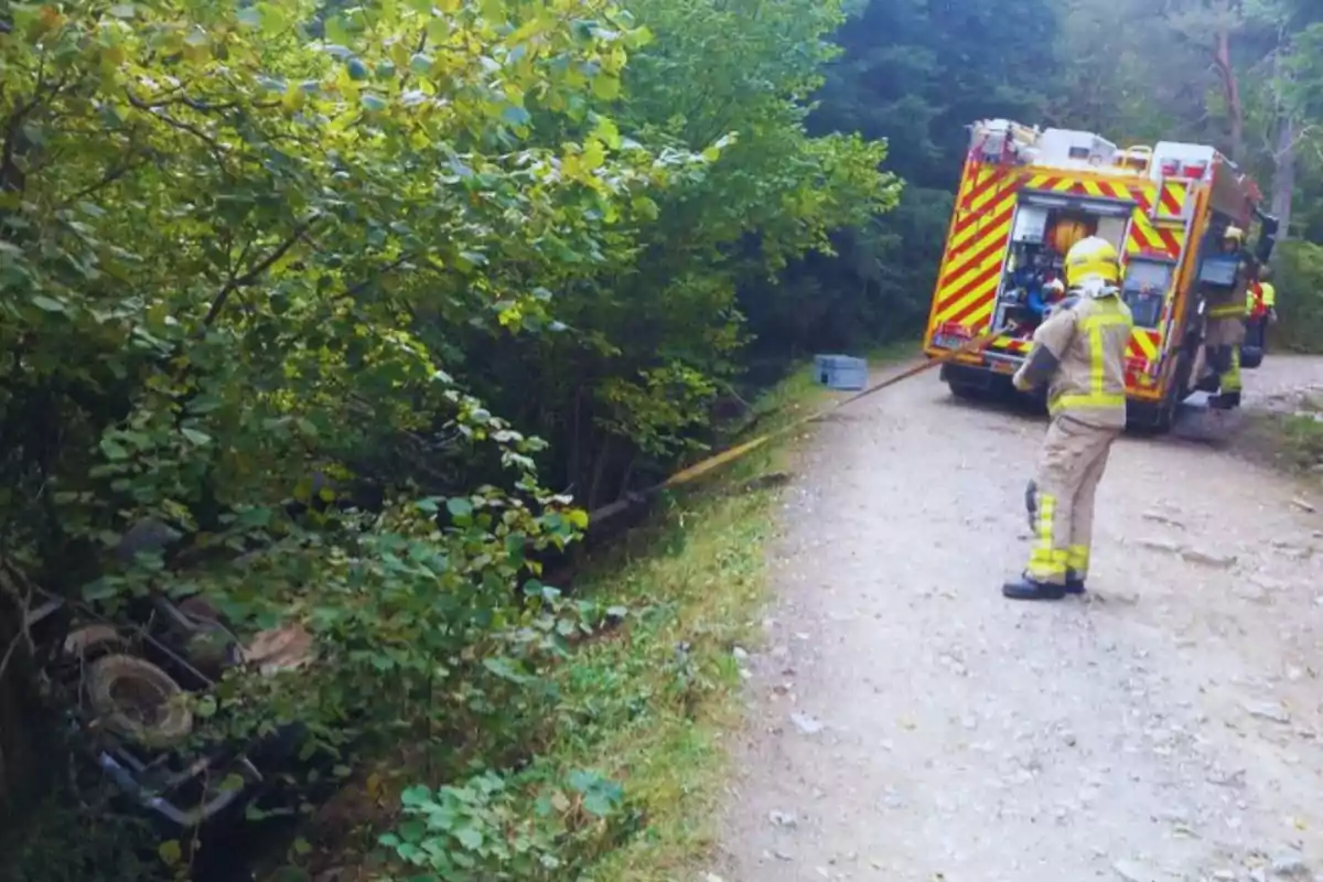 Bombers treballant per rescatar un vehicle accidentat en una zona boscosa.