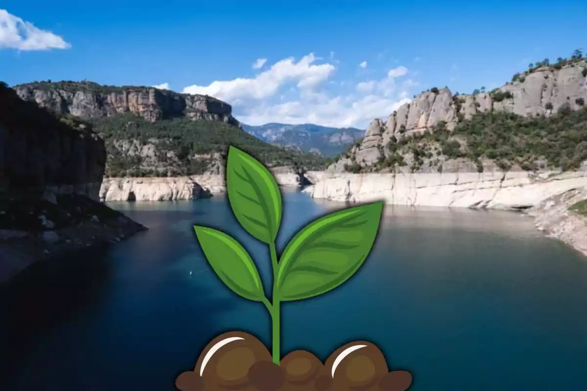 Los embalses ayudan a la agricultura