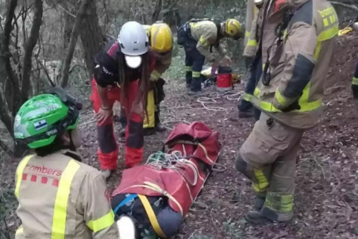 Un grupo de bomberos realiza un rescate en un área boscosa, utilizando equipo especializado y una camilla para asegurar a una persona.