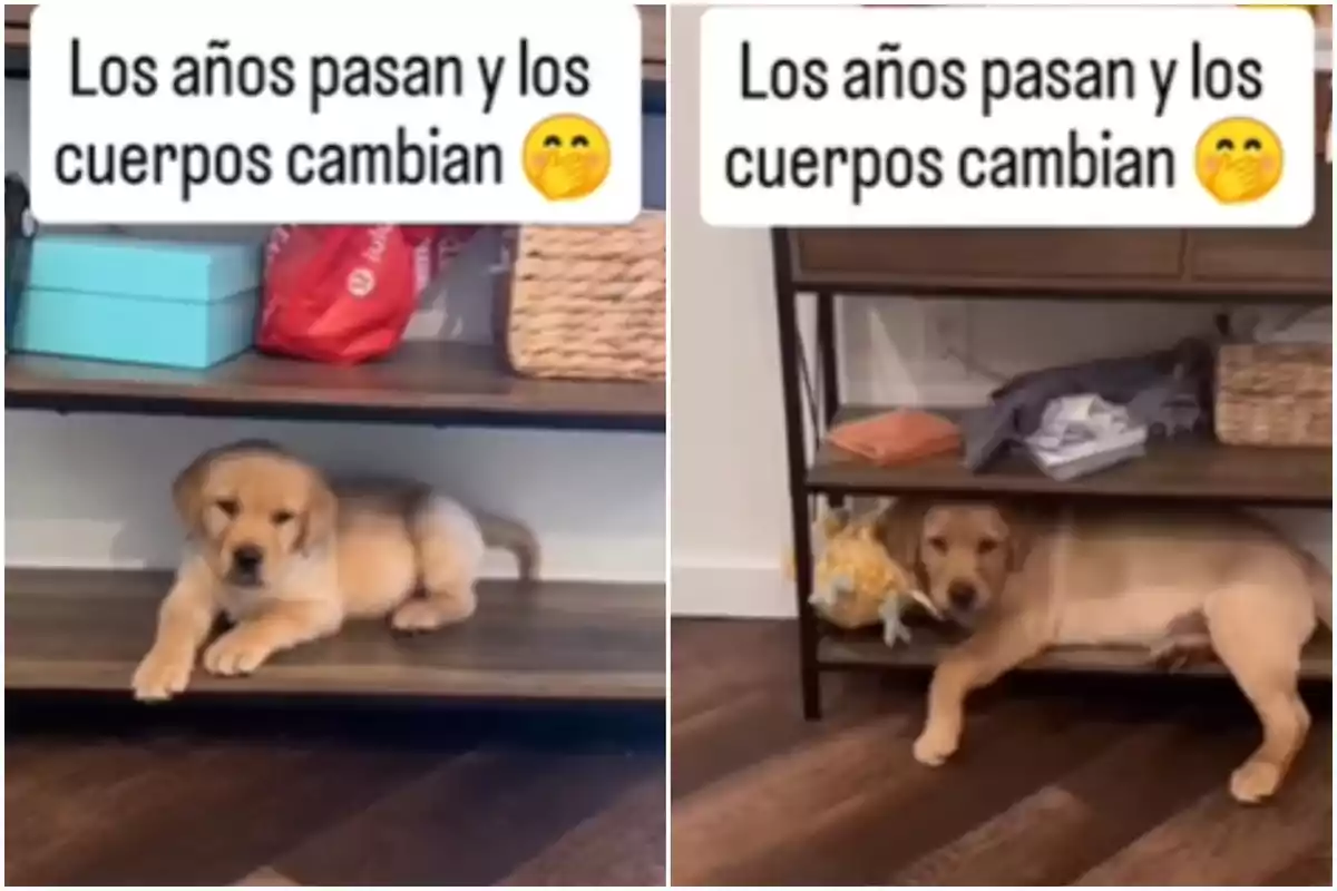 Captures d'un vídeo viral