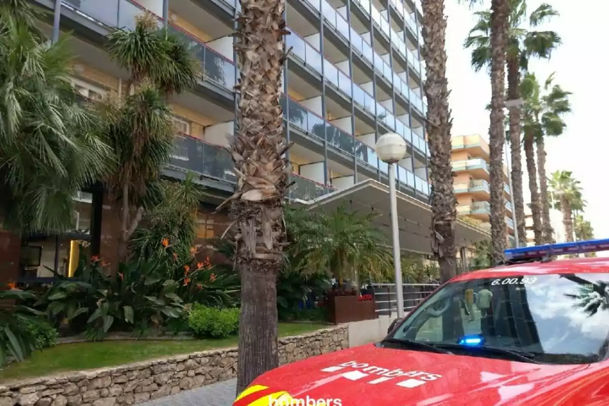 Un vehículo de bomberos estacionado frente a un edificio rodeado de palmeras y vegetación.