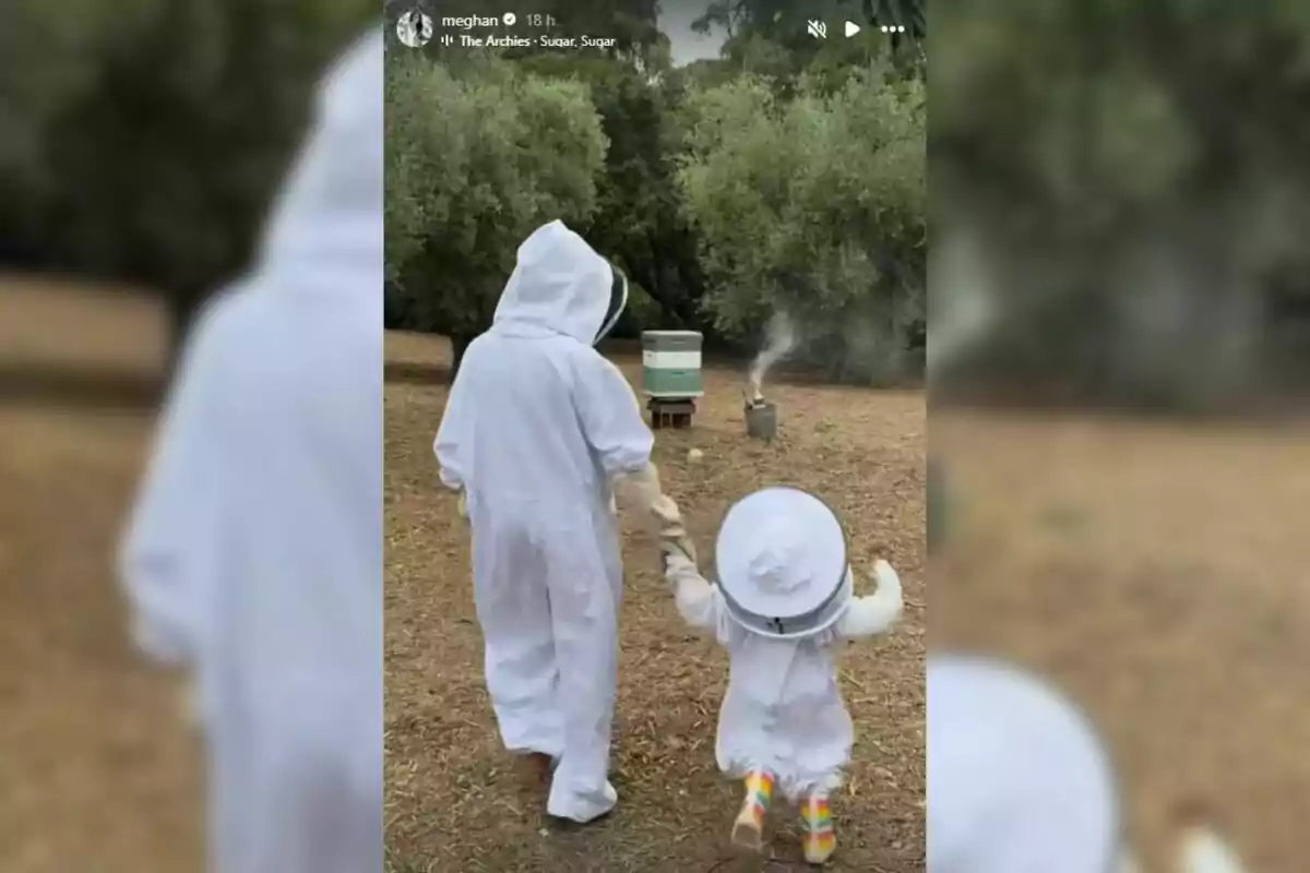 Dos personas vestidas con trajes de apicultor caminan de la mano hacia una colmena en un entorno natural rodeado de árboles Dos personas vestidas con trajes de apicultor caminan de la mano hacia una colmena en un entorno natural rodeado de árboles