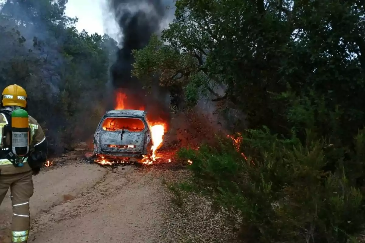 Un bomber observa un cotxe envoltat en flames al mig d’un camí envoltat de vegetació mentre el foc s’estén cap als arbustos propers.