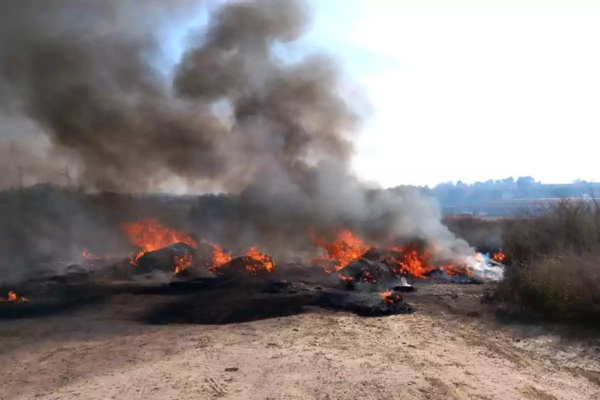 Incendi en un descampat