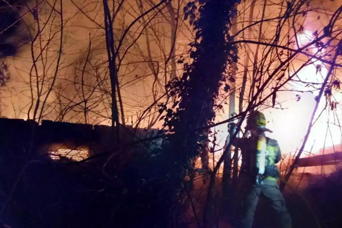 Bomber combatent un incendi en una àrea boscosa durant la nit.