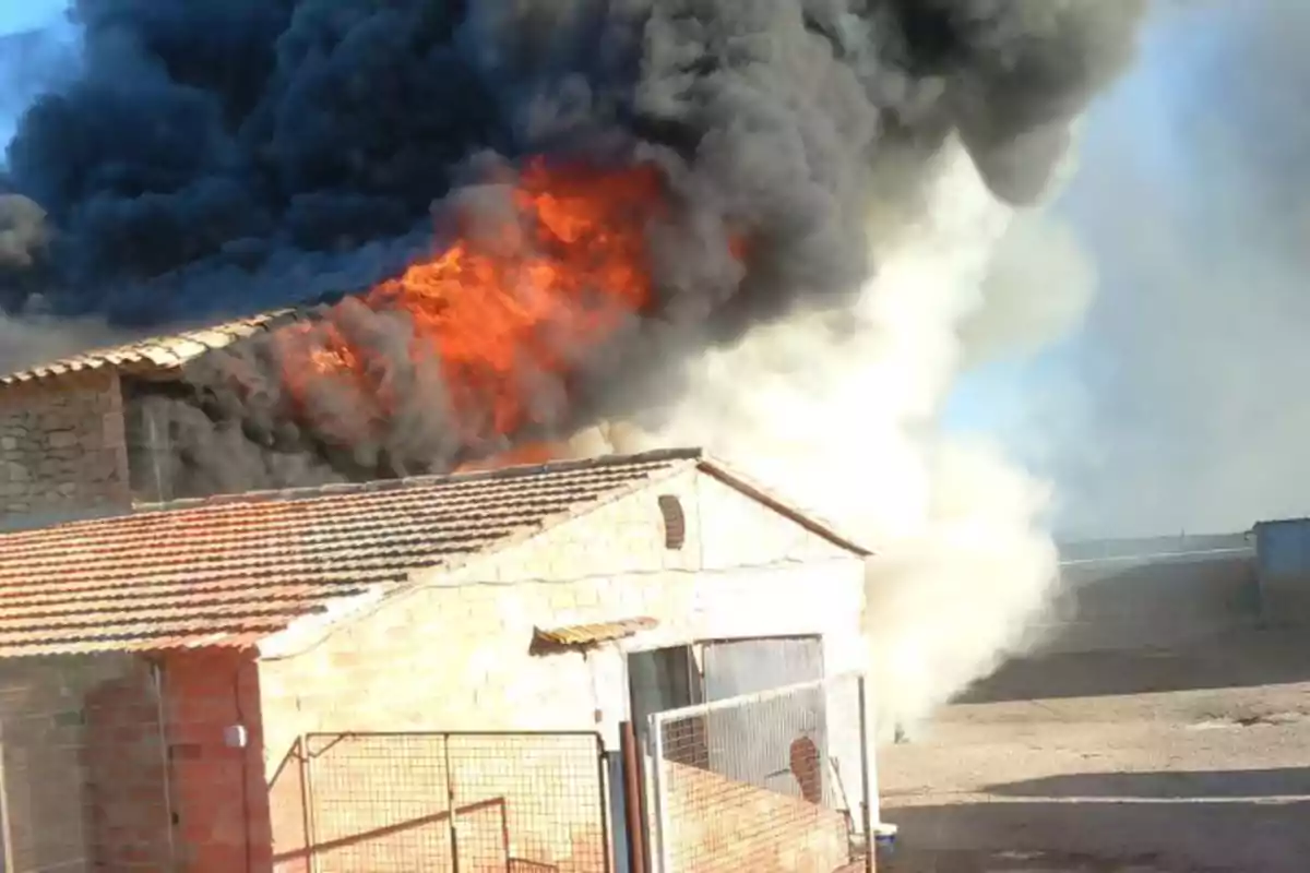 Incendi a Lleida