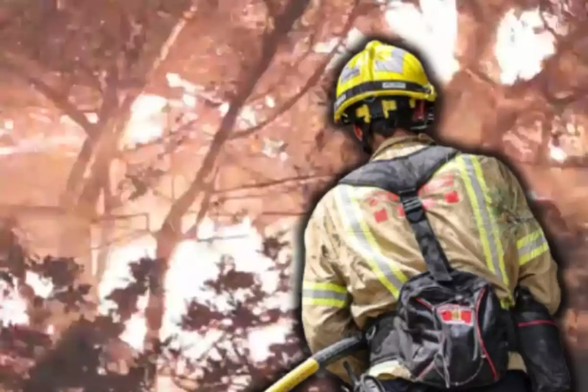 Bomber treballant en un incendi a la vegetació