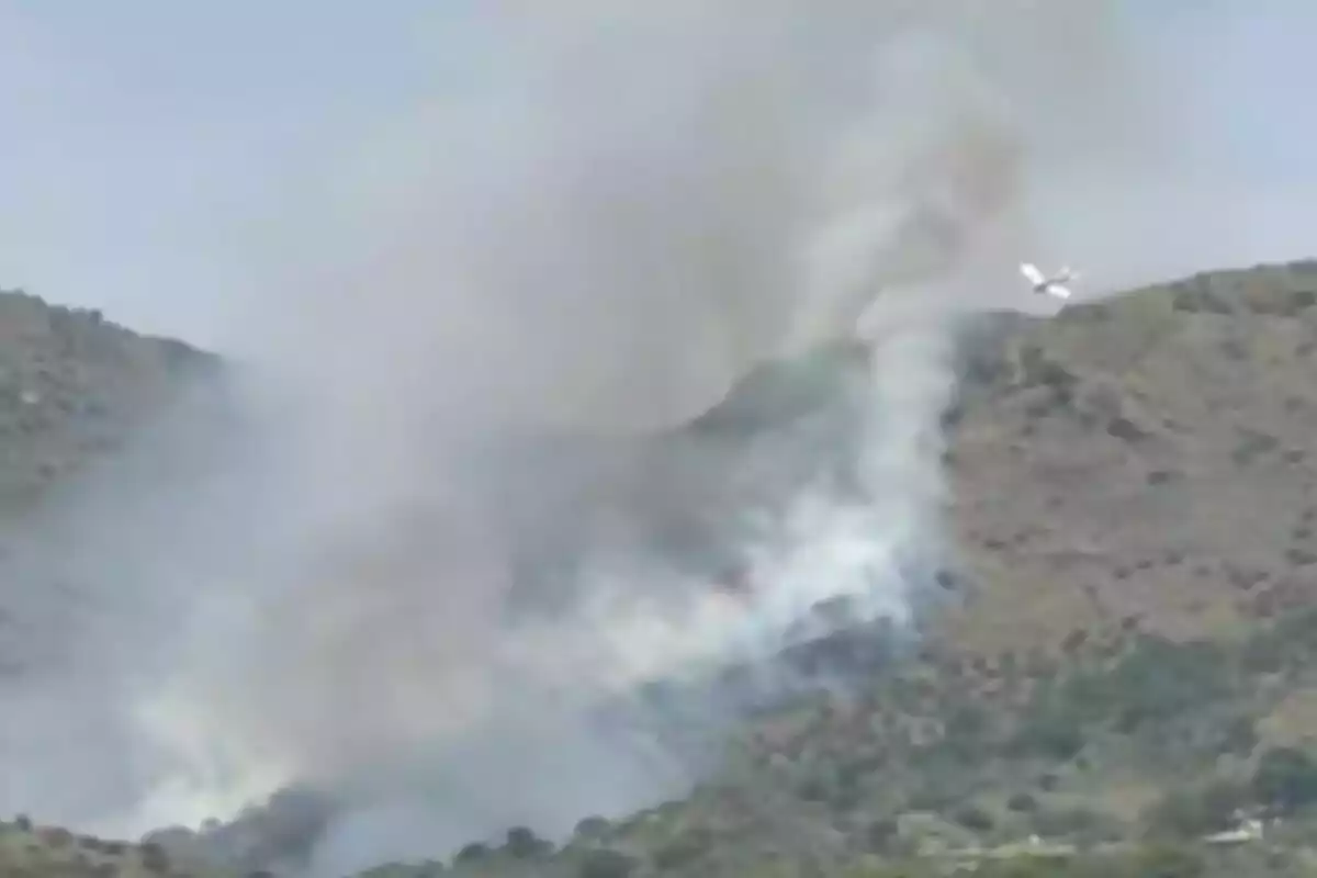 Un avió sobrevola una zona muntanyosa afectada per un incendi forestal mentre una gran columna de fum s’eleva cap al cel. Un avió sobrevola una zona muntanyosa afectada per un incendi forestal mentre una gran columna de fum s’eleva cap al cel.