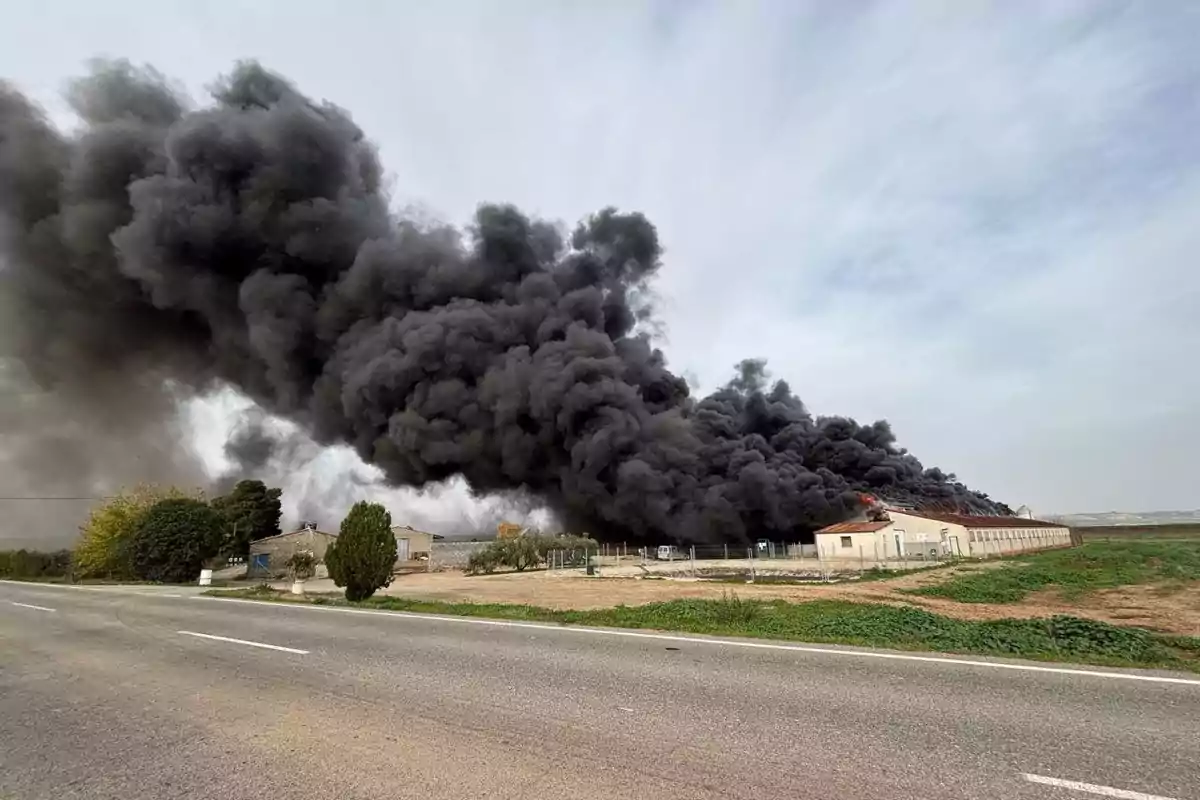 Así ha sido el incendio de una granja en Alcarràs