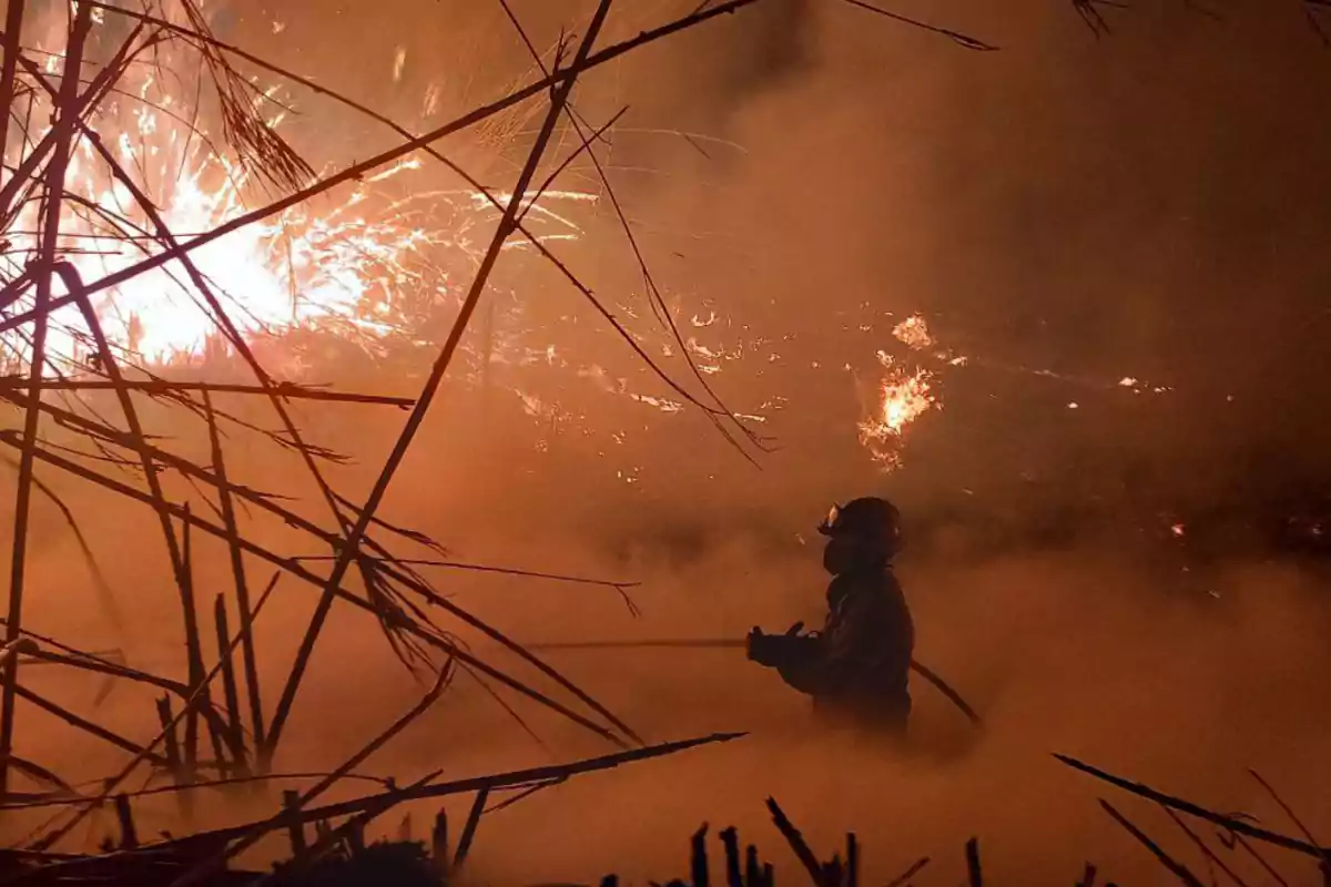 Incendi a prop del riu Ebre