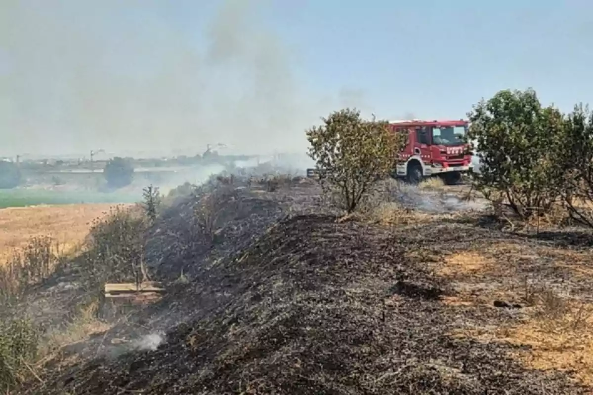 Camió de bombers en un camp amb vegetació cremada i fum a l’ambient després d’un incendi forestal.