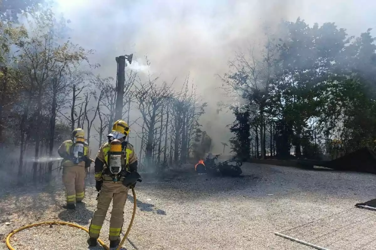 Bombers combaten un incendi forestal entre arbres mentre un dens núvol de fum cobreix la zona i s'observa foc a terra.