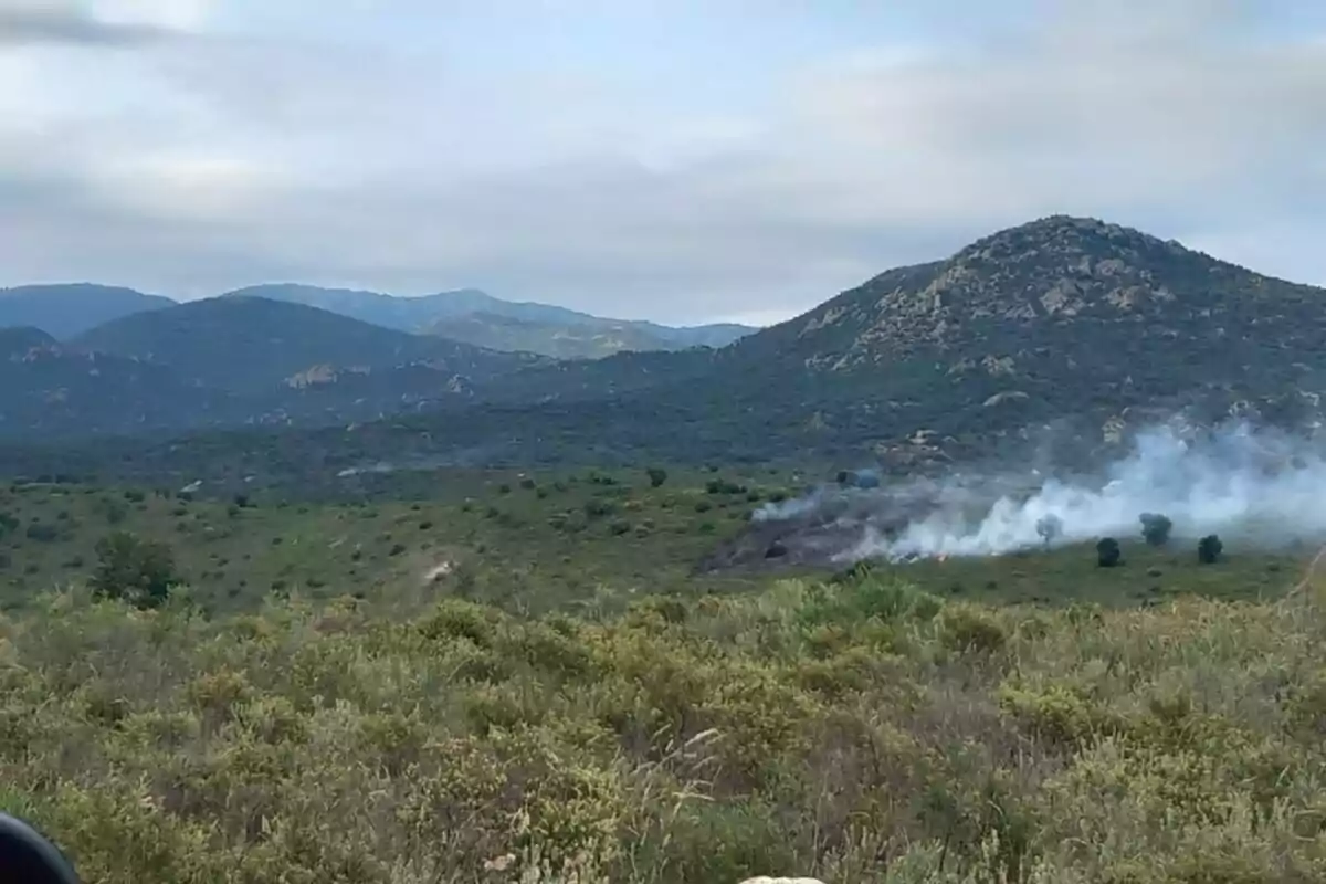 Turons coberts de vegetació amb fum sortint d’un incendi al prat