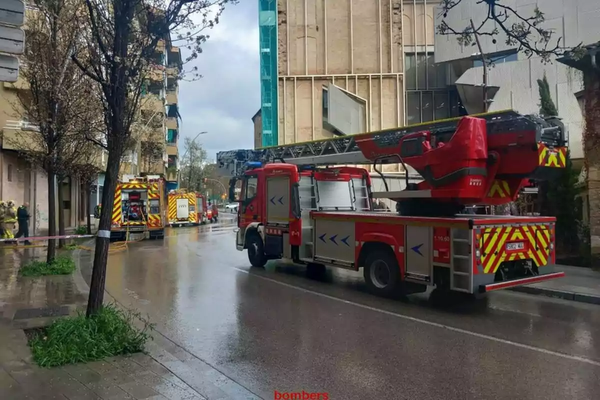 Camions de bombers i personal d'emergència en un carrer mullat davant d'un edifici, amb arbres i cinta de seguretat al voltant.