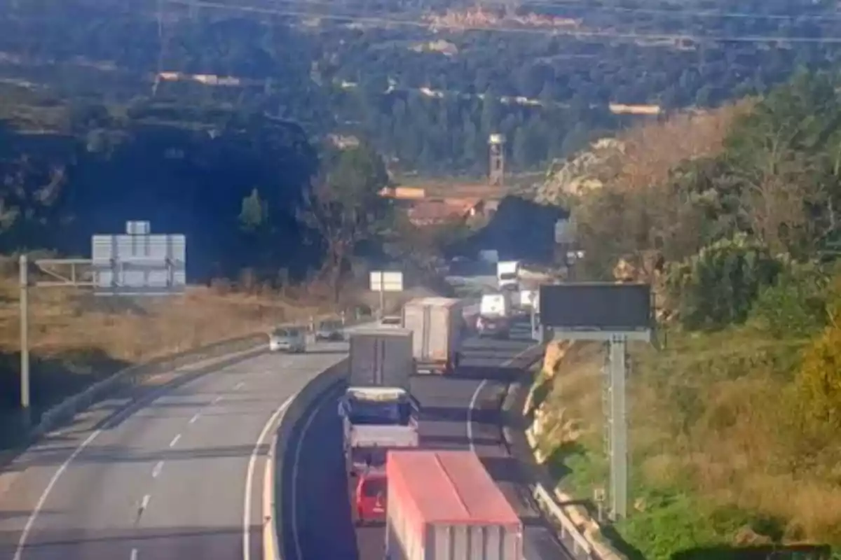 Una carretera con varios camiones y vehículos circulando rodeada de vegetación y colinas.