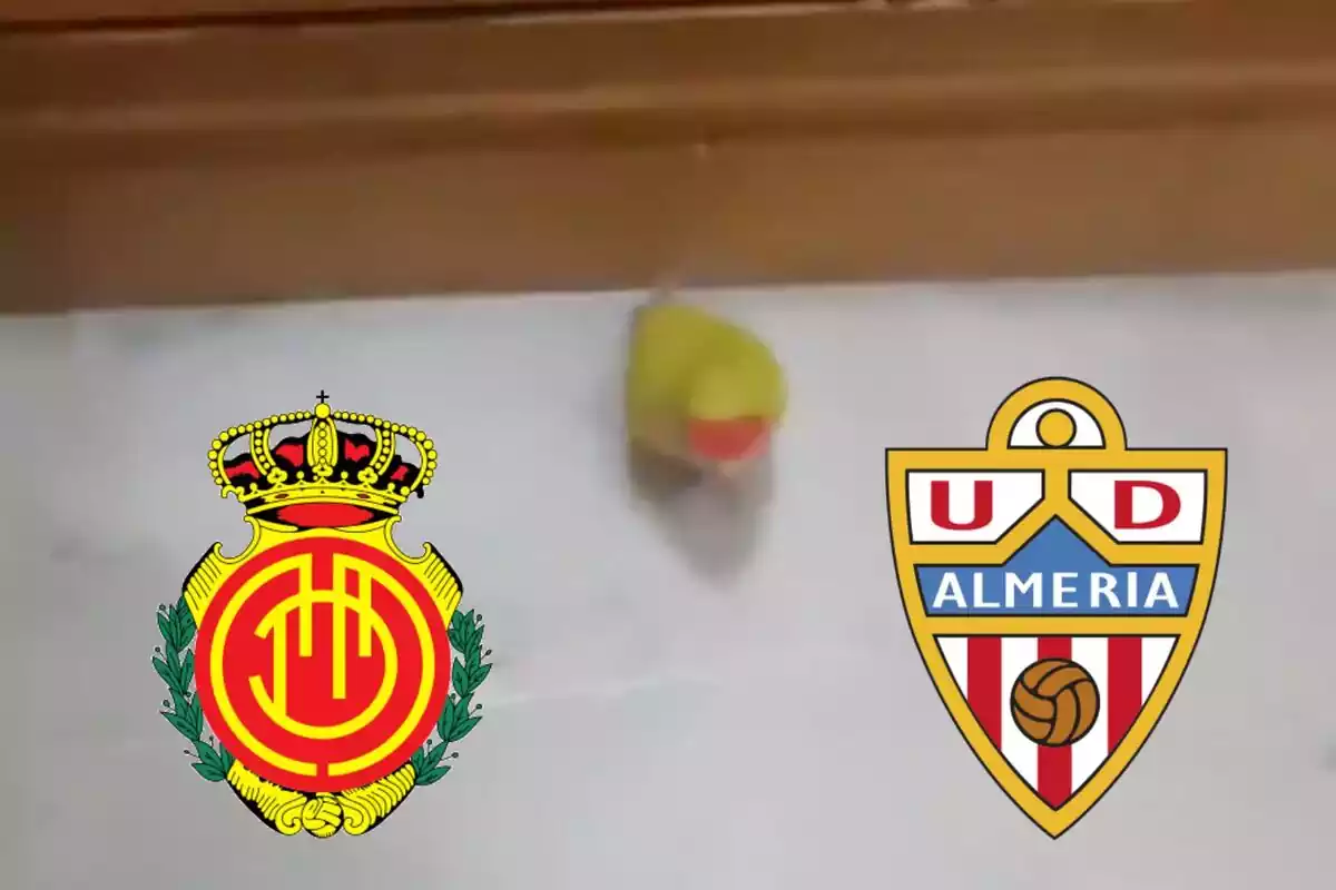 Lloro i escuts del Reial Mallorca i de la UD Almeria