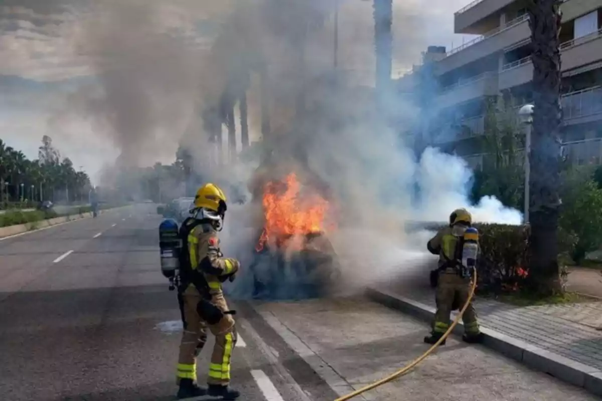 Bombers apagant un incendi en un cotxe a un carrer amb edificis i palmeres.