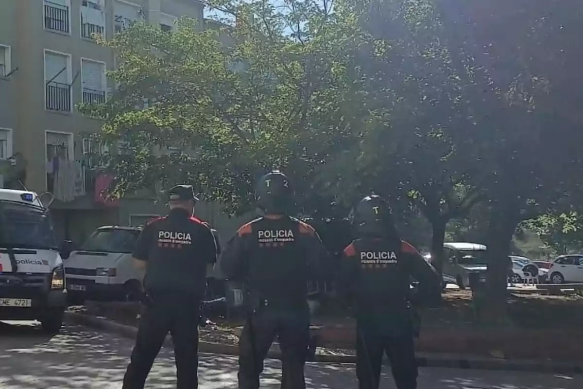 Tres policies d'esquena amb uniformes i cascos en un carrer, amb una furgoneta policial i diversos edificis i arbres al fons.