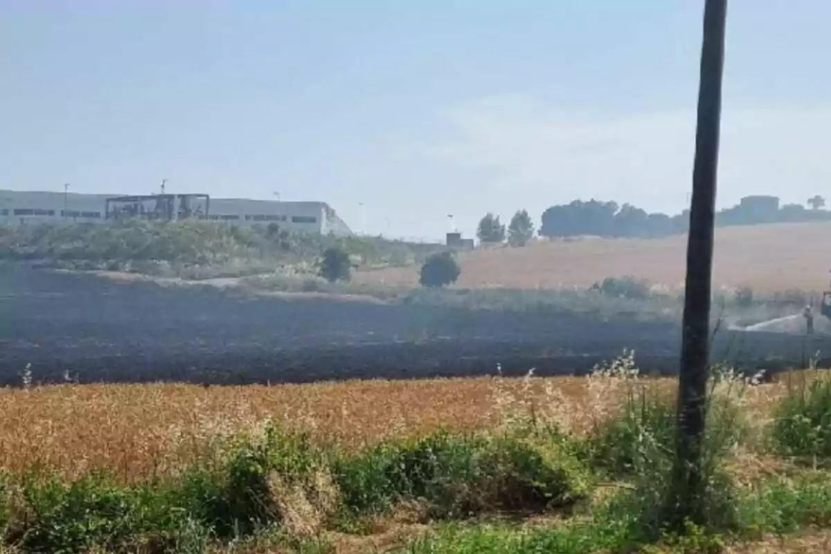 Camp de conreu parcialment cremat amb una zona negra de cendra i un edifici al fons sota un cel serè Camp de conreu parcialment cremat amb una zona negra de cendra i un edifici al fons sota un cel serè