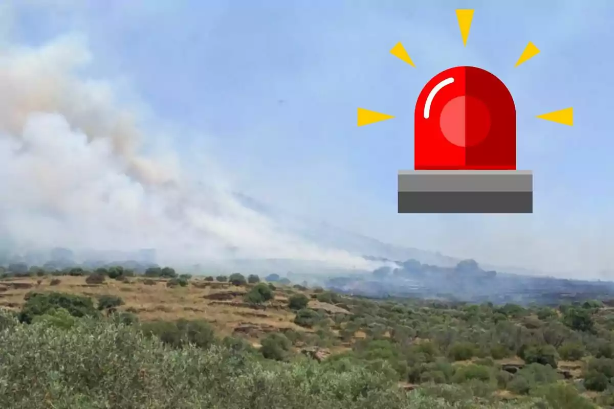 Camp amb vegetació afectada pel fum d’un incendi i una sirena d’alerta vermella dibuixada a la part superior dreta