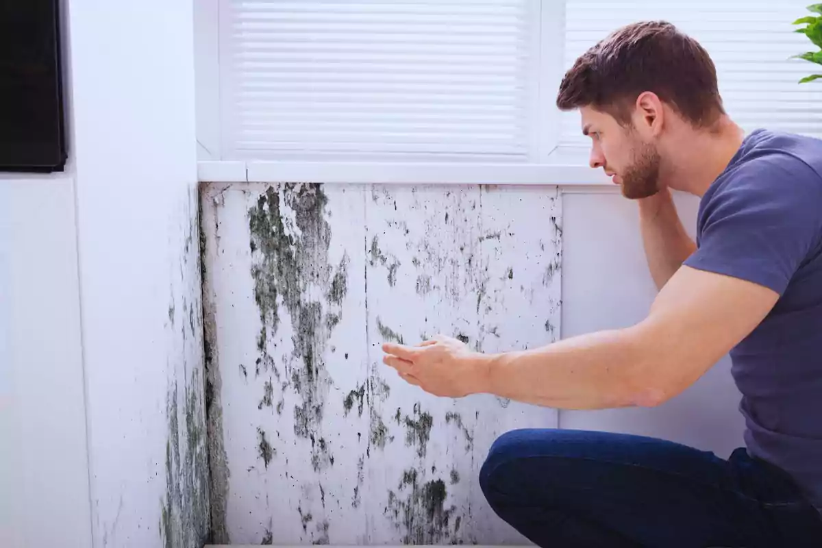 Hombre inspeccionando una pared con moho en una habitación iluminada.