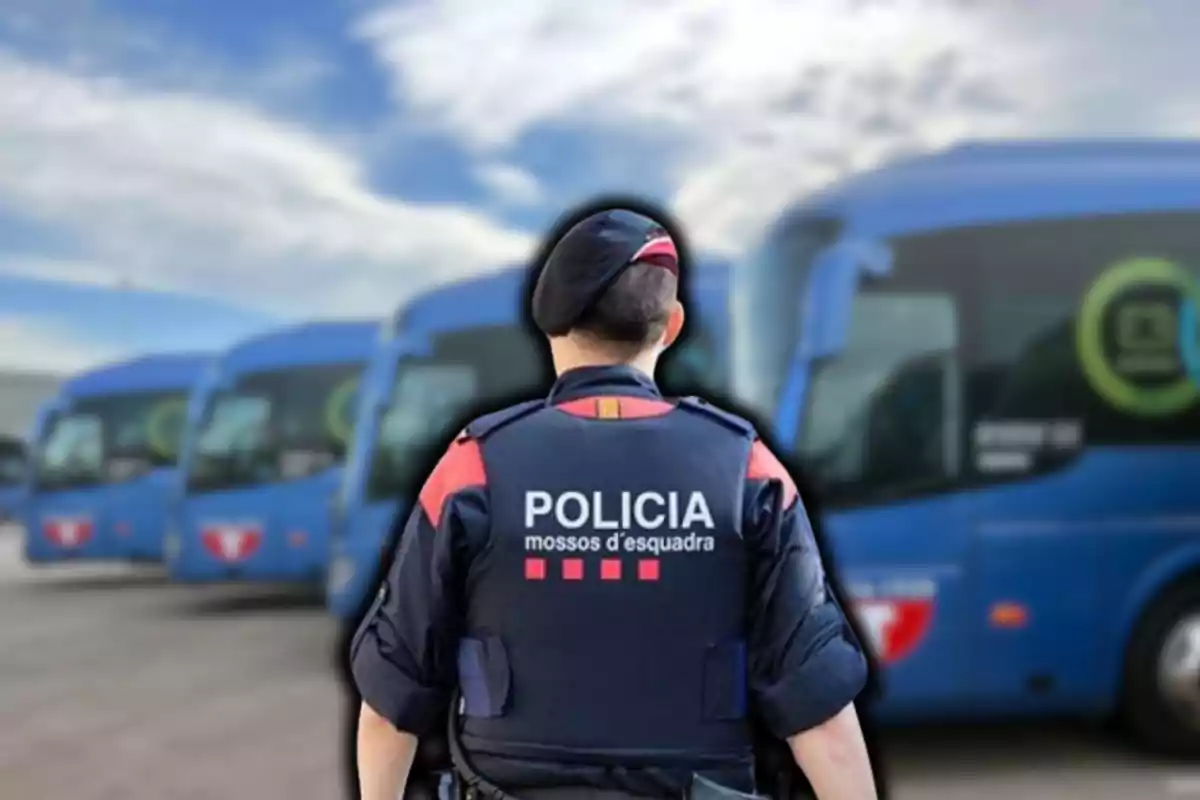 Un agent de policia d?esquena amb diversos autobusos blaus al fons.