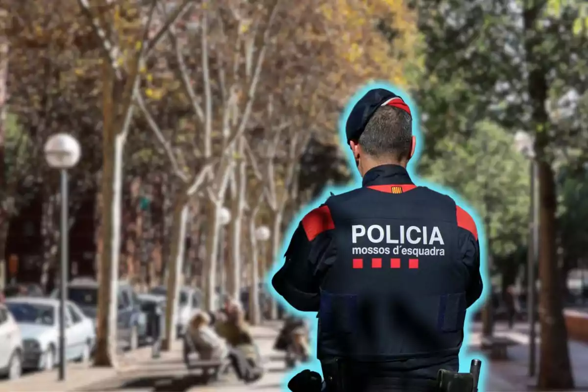 Un agent dels Mossos d'Esquadra d'esquena a un carrer arbrat.