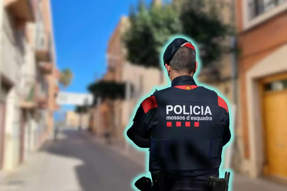 Un agente de policía de espaldas en una calle urbana.