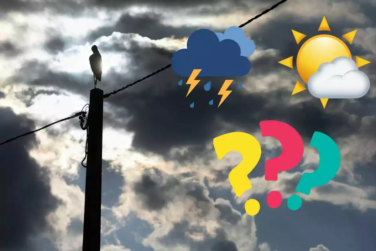 Un ave posada en un poste con un cielo nublado de fondo y emojis de clima y signos de interrogación.