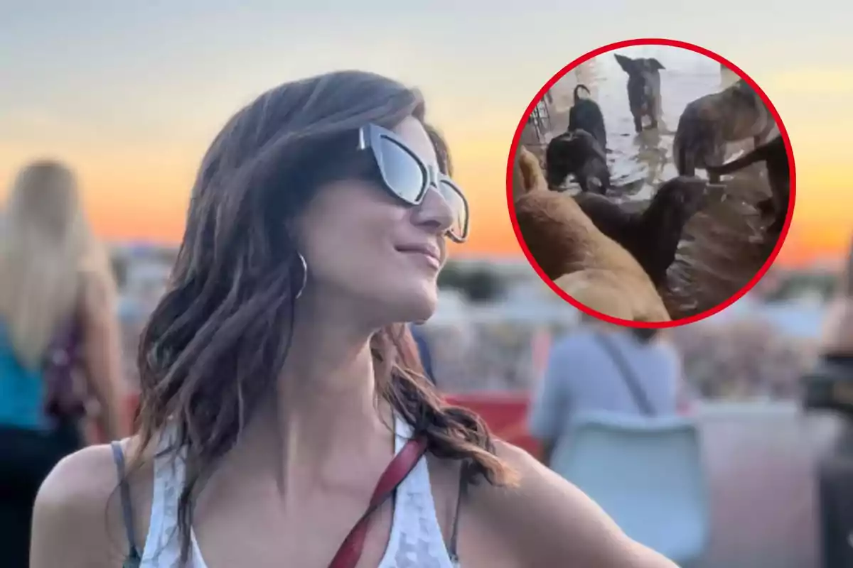 Una mujer con gafas de sol disfruta de un atardecer al aire libre mientras en un recuadro se ven varios perros en el agua.