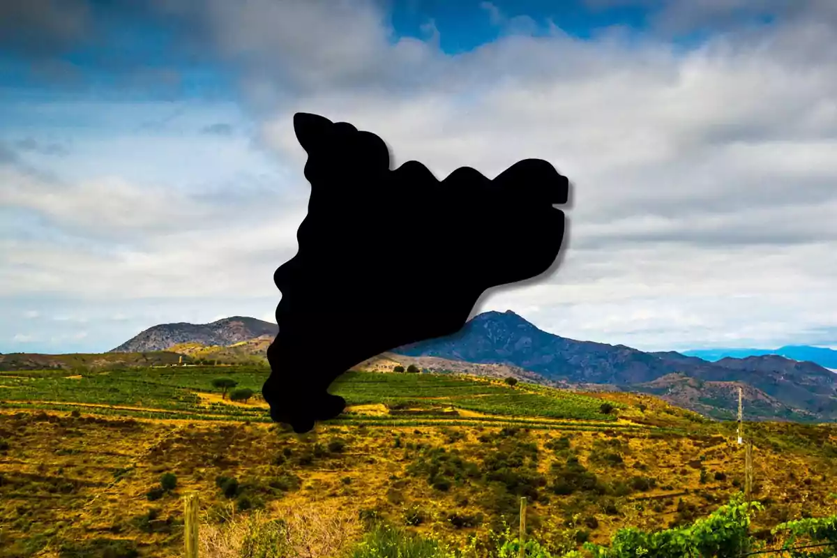 Paisatge muntanyós amb camps verds i una silueta negra al centre.