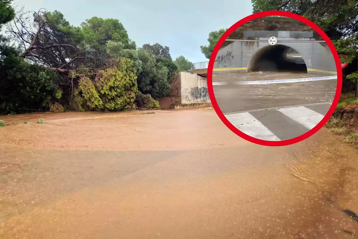 Inundació en una zona arbrada amb un túnel sota una carretera també inundat, ressaltat en un cercle vermell.