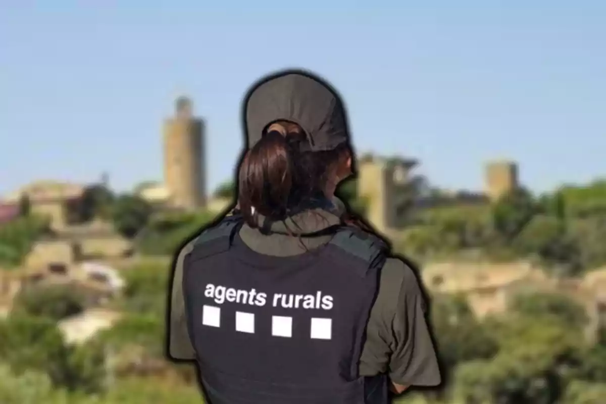 Una agent rural d'esquena amb una armilla que diu “agents rurals” observa un paisatge amb torres i vegetació.