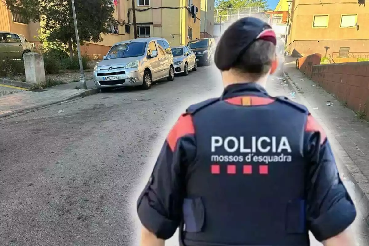 Un agent de policia dels Mossos d'Esquadra d'esquena a un carrer amb diversos cotxes estacionats i edificis residencials al fons.