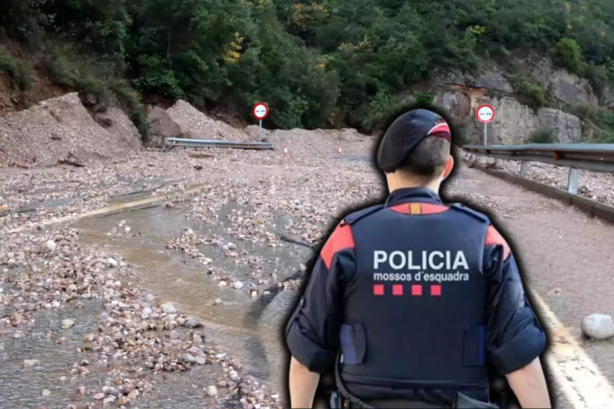 Un agente de policía observa un camino cubierto de escombros y piedras tras un deslizamiento de tierra en una zona boscosa.