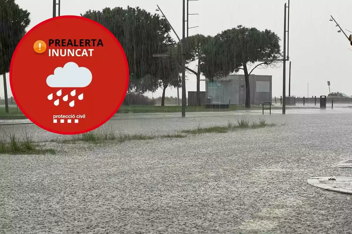 Alerta de preemergència per pluges intenses en una zona urbana amb carrers inundats i arbres sota la pluja.