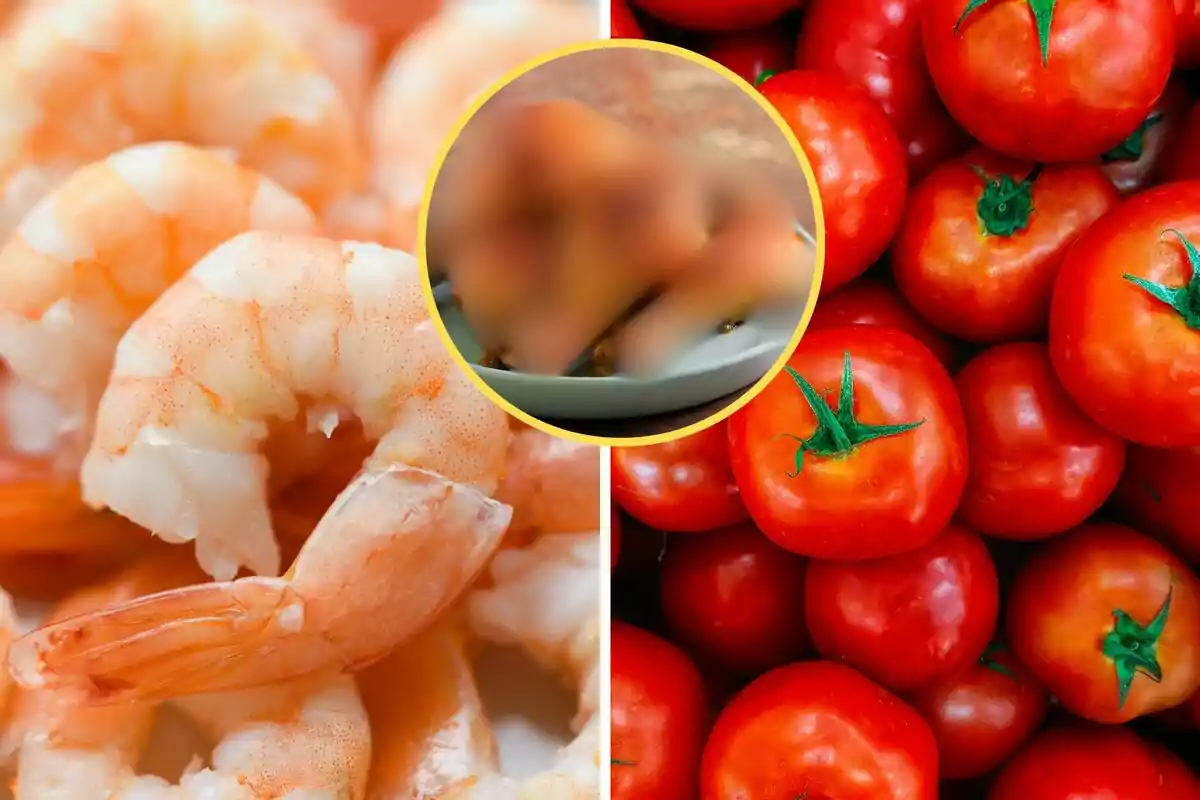 Camarones a la izquierda y tomates a la derecha con un círculo borroso en el centro.