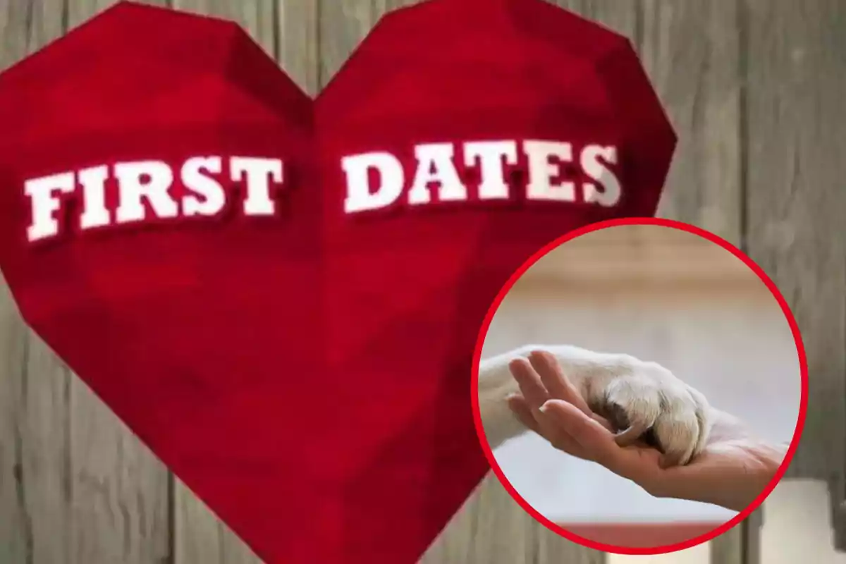 Un corazón rojo con las palabras "First Dates" y un círculo que muestra una mano humana sosteniendo una pata de perro.