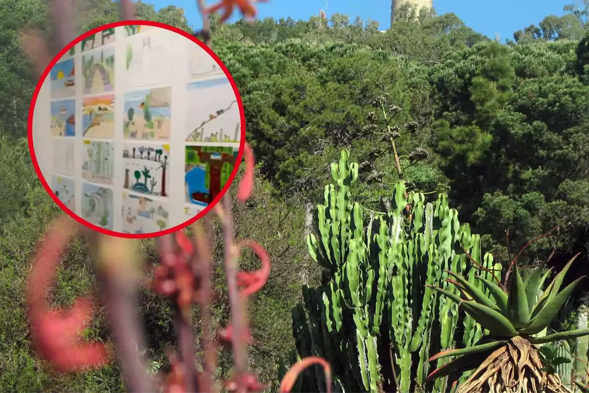 Un paisatge amb vegetació abundant i cactus a primer pla, amb un cercle vermell que mostra una sèrie de dibuixos colorits.