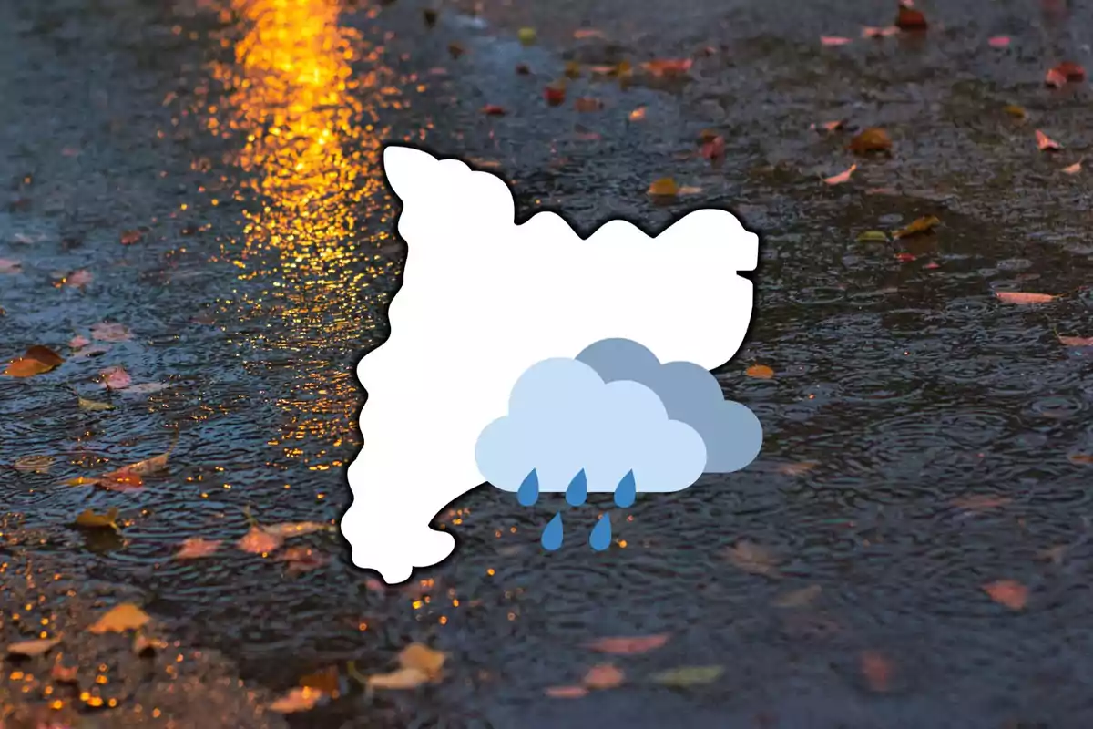 Mapa de una región con icono de nube y lluvia sobre un fondo de charco con hojas caídas.