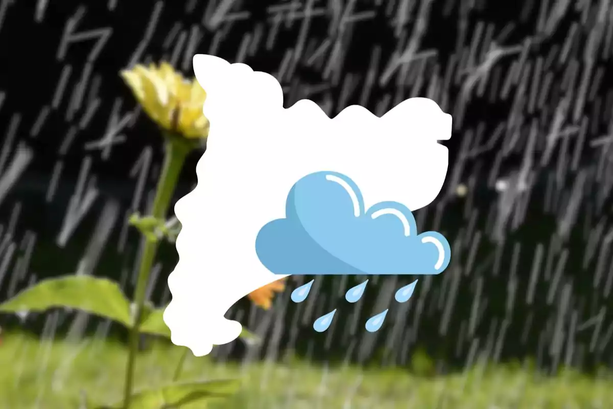 Ilustración de una nube de lluvia sobre un fondo borroso con una flor amarilla.