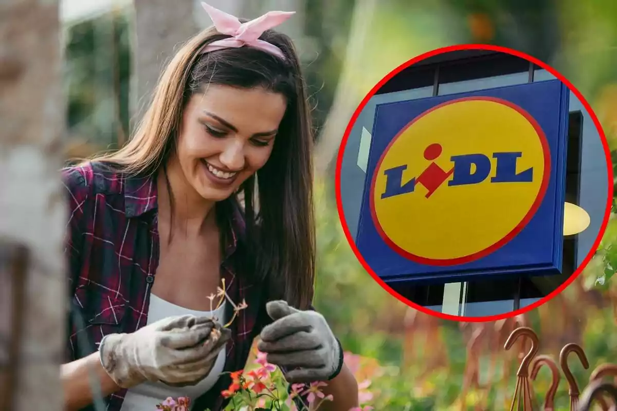 Una persona sonriente cuidando plantas con un letrero de supermercado en un círculo rojo. Una persona sonriente cuidando plantas con un letrero de supermercado en un círculo rojo.