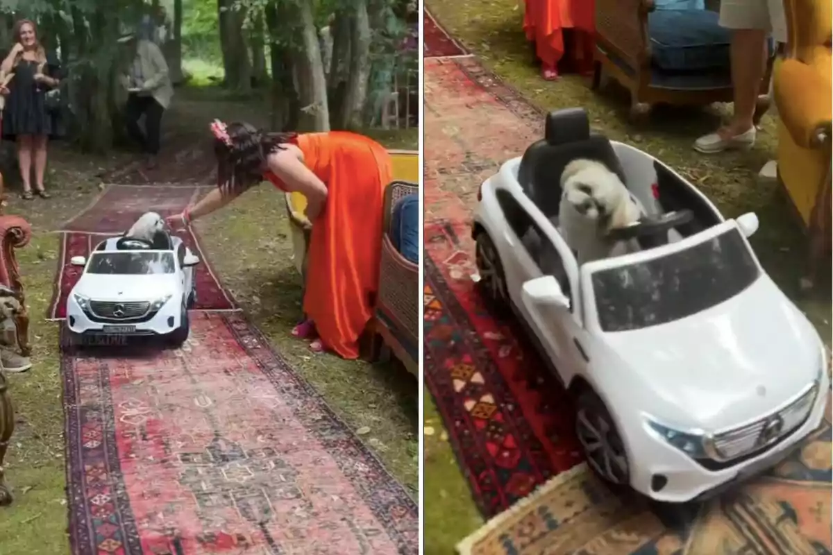 Un perro pequeño conduce un coche de juguete blanco por una alfombra en un evento al aire libre, mientras una mujer con un vestido naranja lo observa.