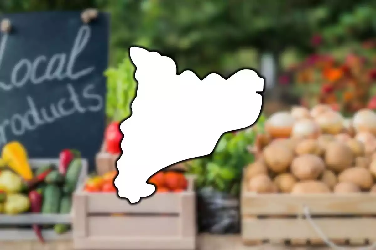 Una pizarra con el texto "Local products" junto a cajas de verduras y hortalizas con un contorno blanco superpuesto.