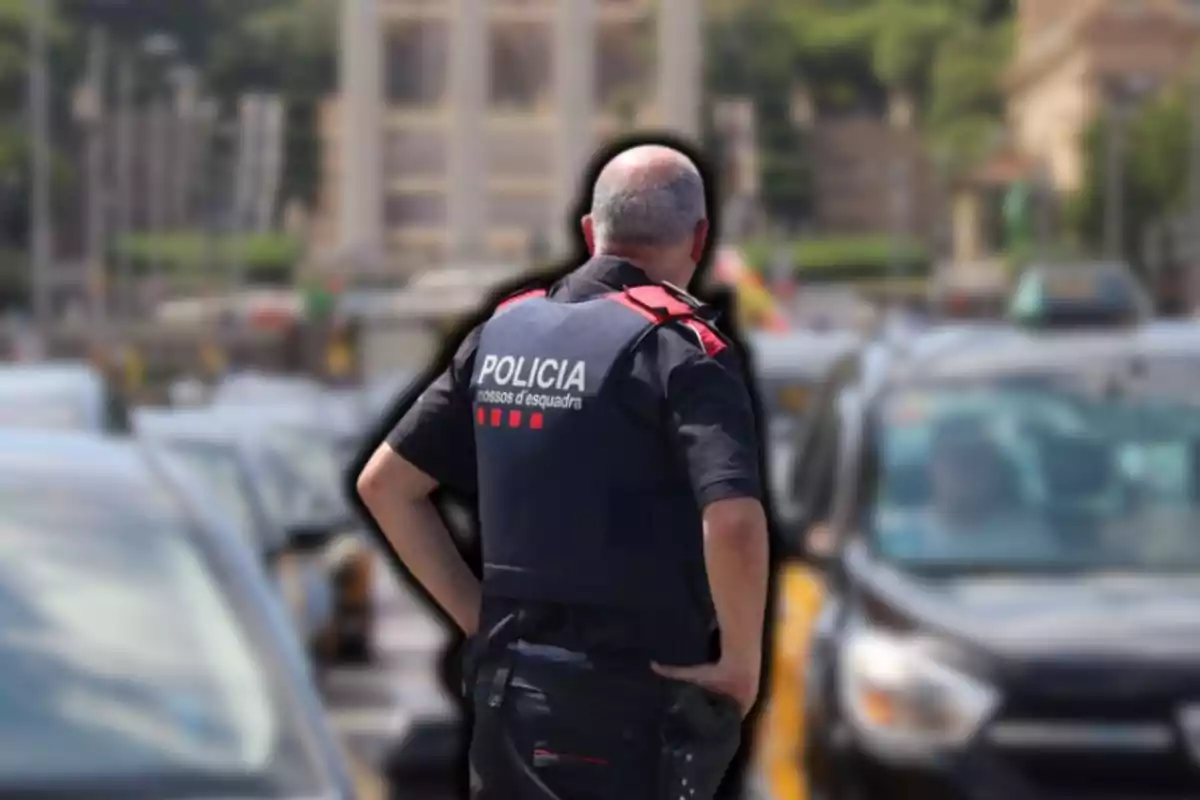 Un agente de policía de espaldas en una calle con tráfico.